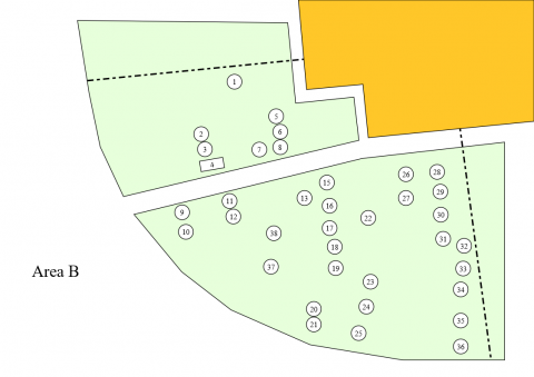 Map of the area B in the churchyard